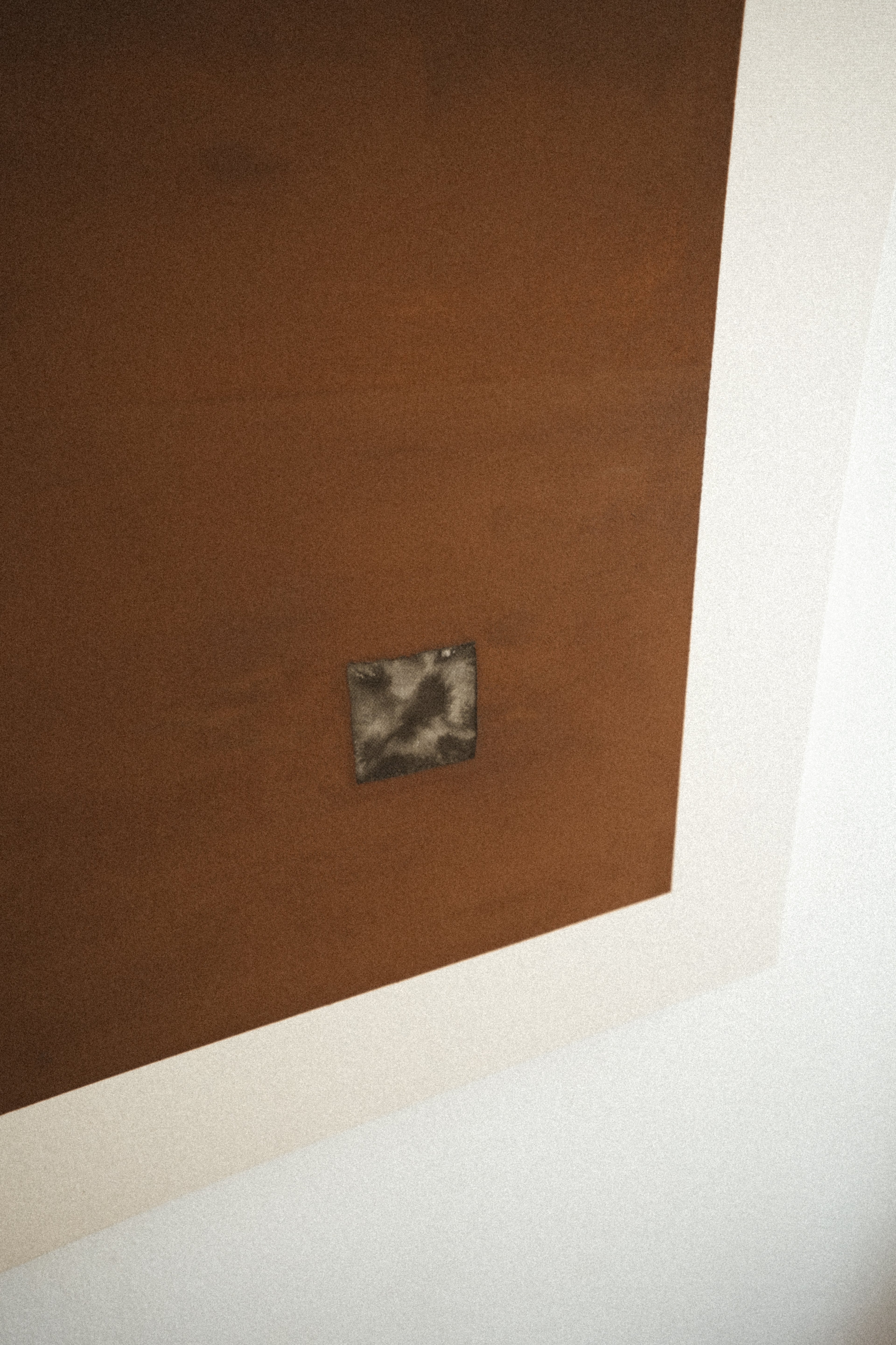 Earth Brown Ultra Matte painting (100 x 73 cm)