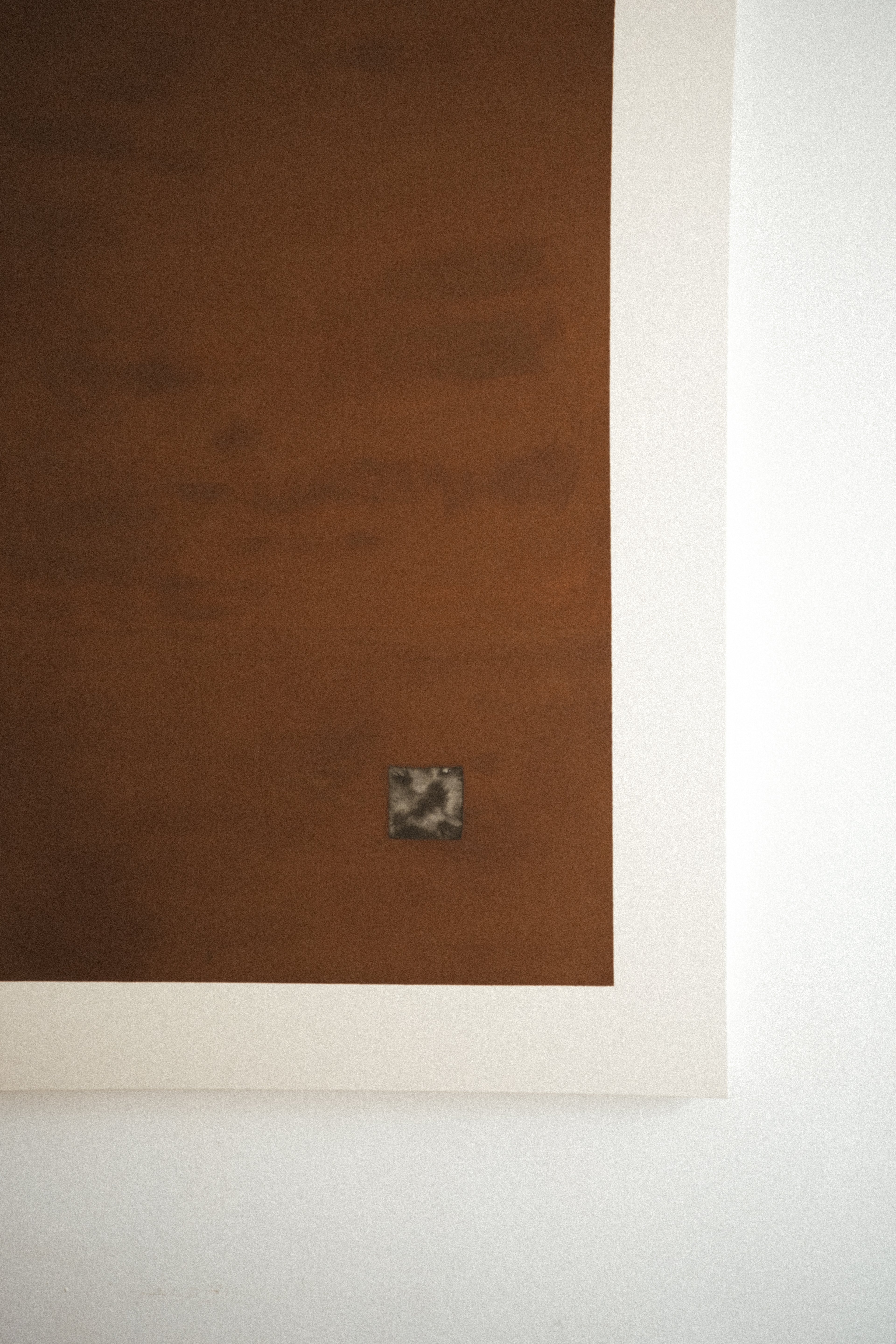 Earth Brown Ultra Matte painting (100 x 73 cm)