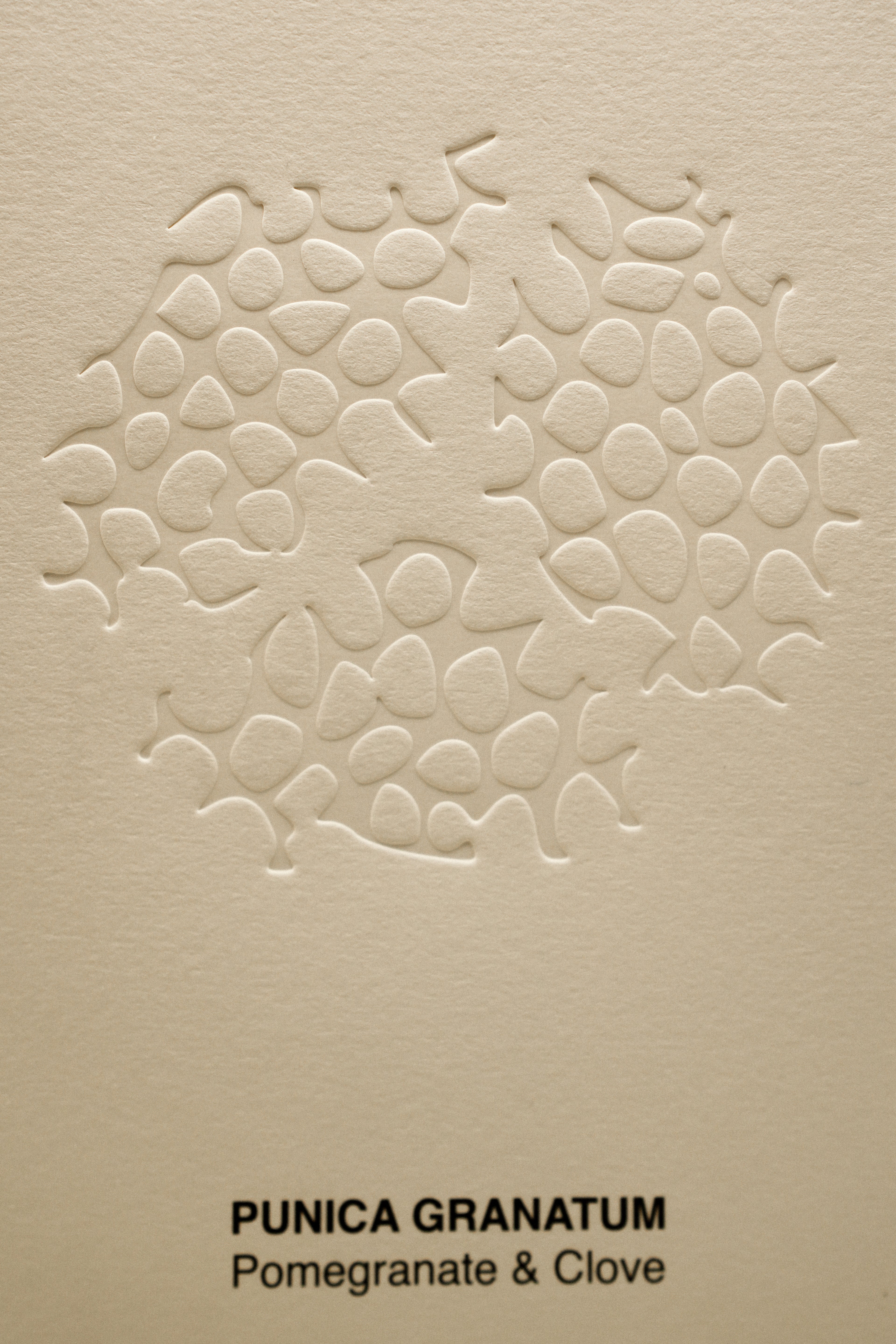 Punica Granatum Mikado Diffuser (200 ML)