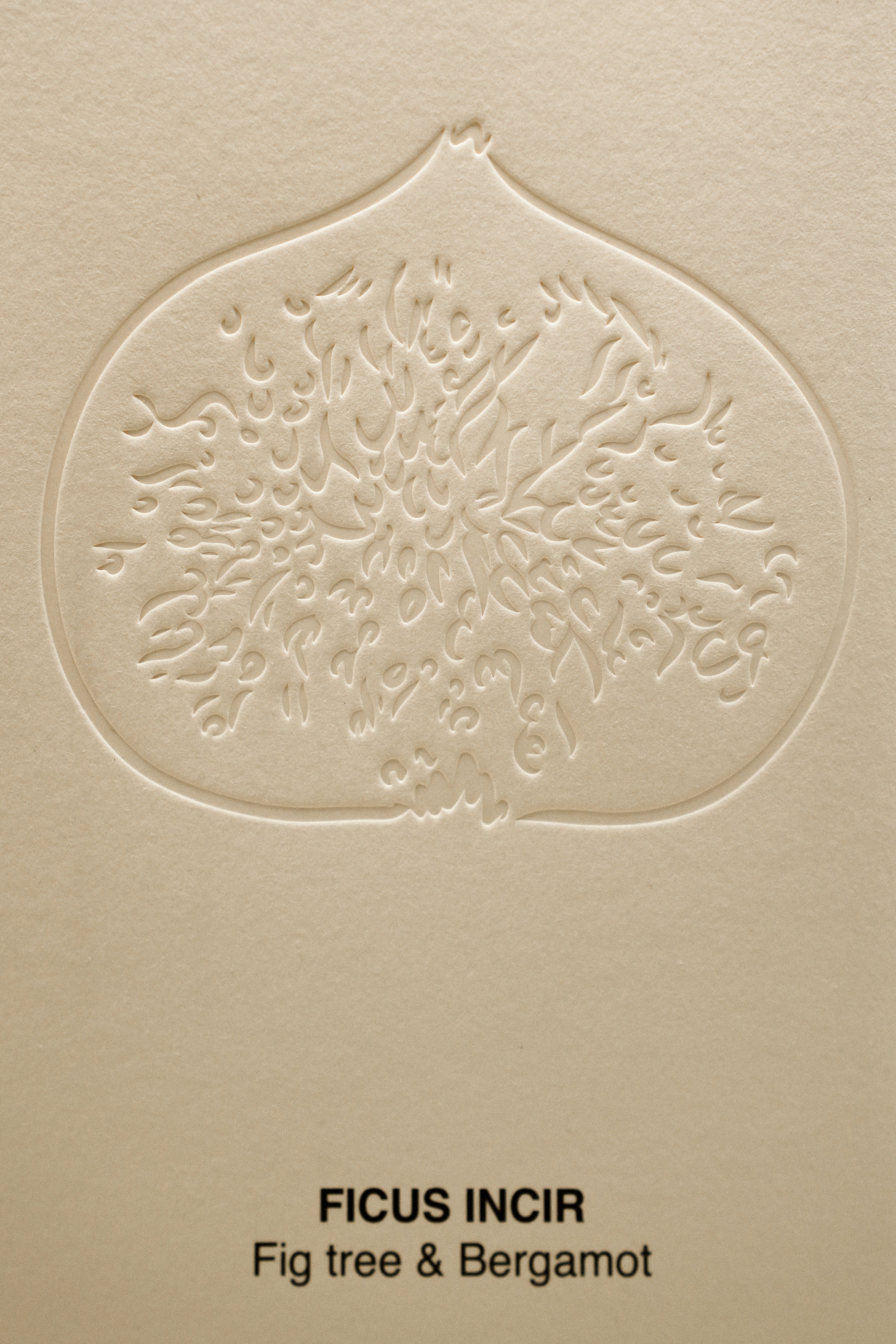 Mikado Ficus Incir Diffuser (200ML)